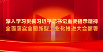 深入免费av影片贯彻习近平总书记重要指示精神全面落实全国新型工业化推进大会部署
